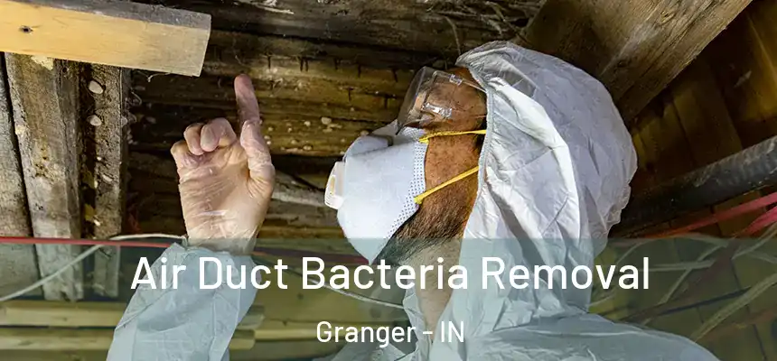 Air Duct Bacteria Removal Granger - IN