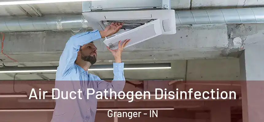  Air Duct Pathogen Disinfection Granger - IN