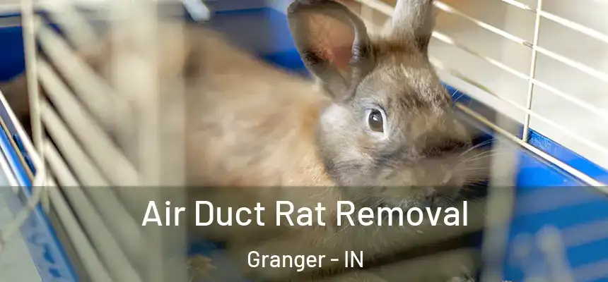  Air Duct Rat Removal Granger - IN