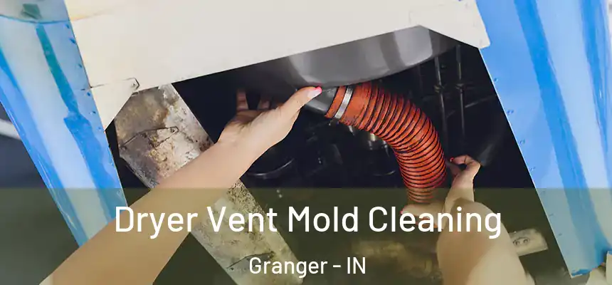 Dryer Vent Mold Cleaning Granger - IN