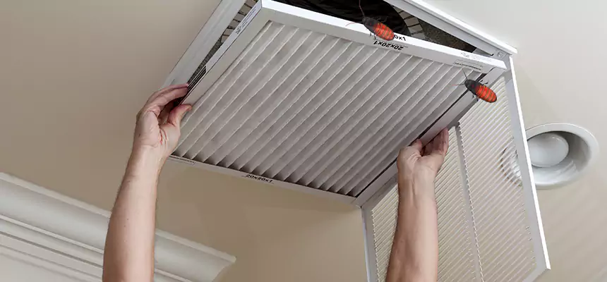 Preventive Cockroach-Proofing for Ducts in Granger