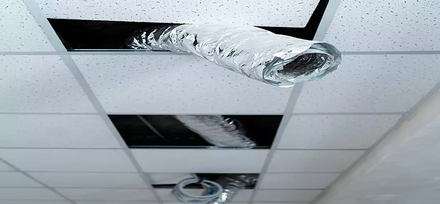 Affordable HVAC Sanitizing After Pest Removal in Granger