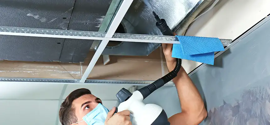 Our Air Duct Rodent Removal Services in Granger, IN