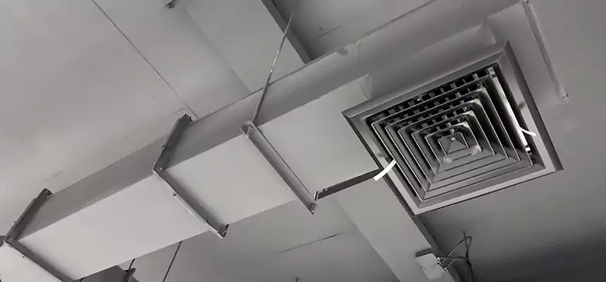 Our Rodent Droppings In Vents Services in Granger, IN