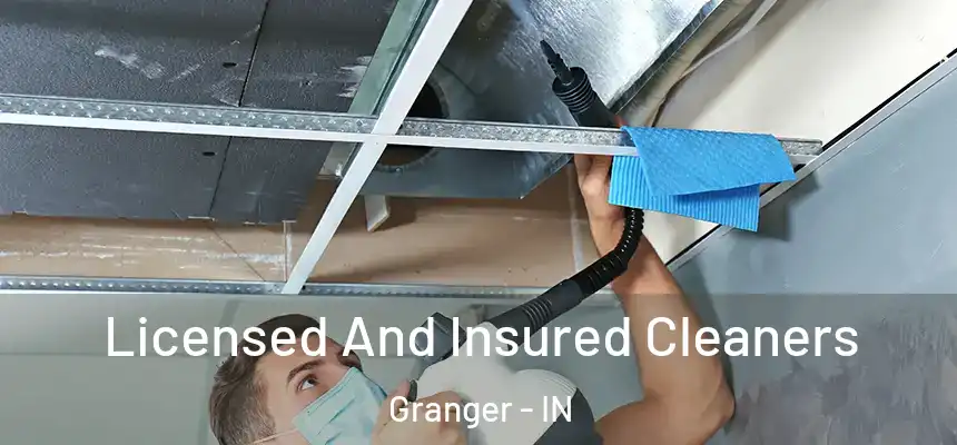 Licensed And Insured Cleaners Granger - IN