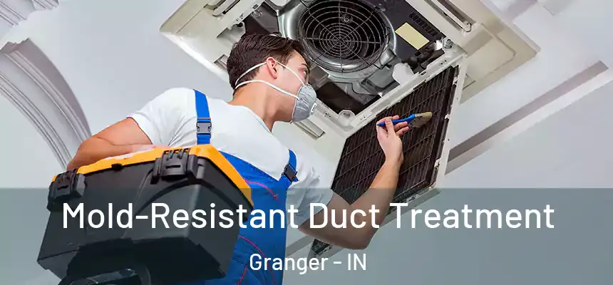  Mold-Resistant Duct Treatment Granger - IN