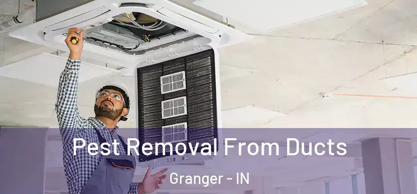 Pest Removal From Ducts Granger - IN