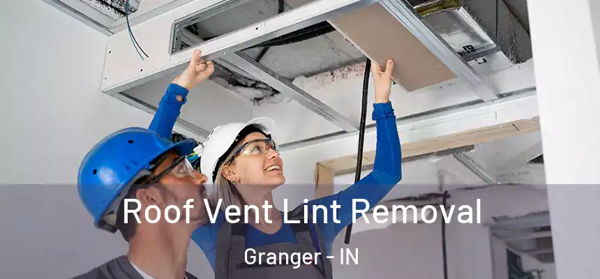 Roof Vent Lint Removal Granger - IN