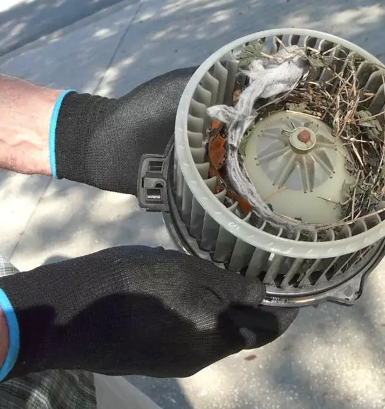 About Air Duct Mice Removal in Granger, IN