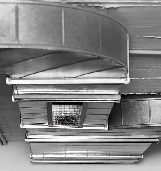 Professional Air Duct Pest Removal in Granger, IN