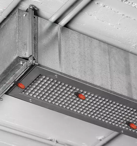 Affordable Insect Removal from Air Ducts in Granger, IN
