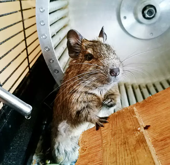 Why Homeowners & Businesses Trust Us Granger, IN